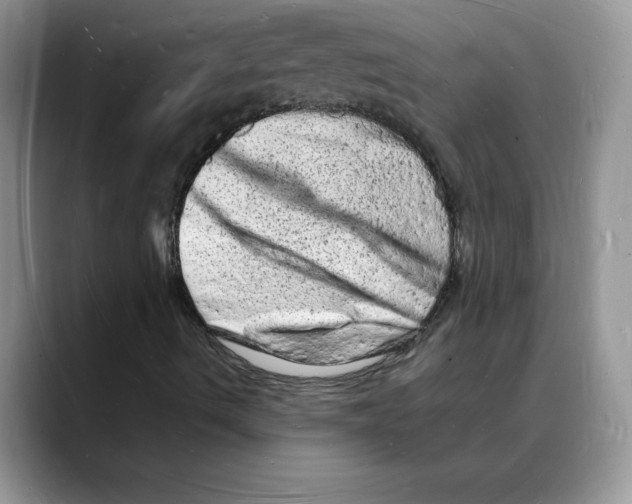 X0000088031490200706081451