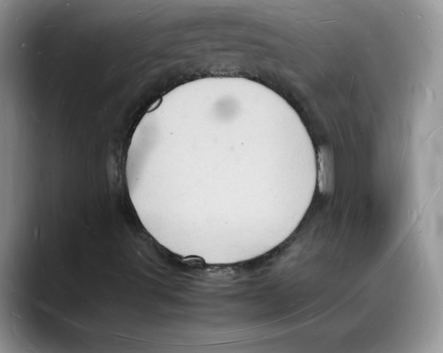 X0000088031491200706081451