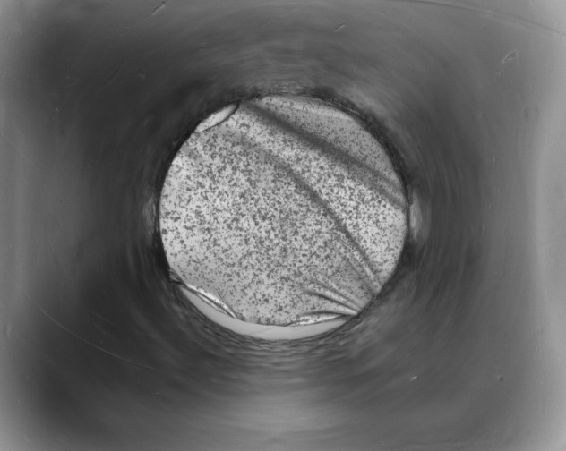 X0000088031492200706081451