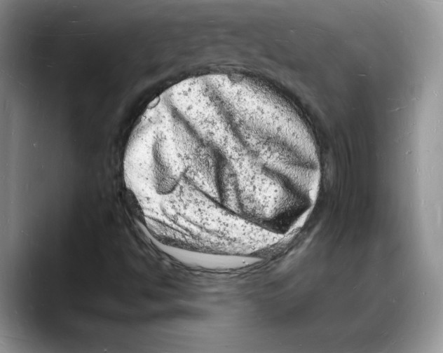 X0000088031494200706081451