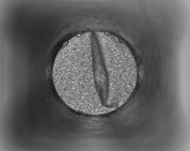 X0000088031495200706081451