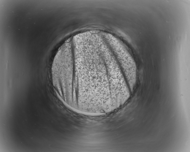 X0000088031496200706081451