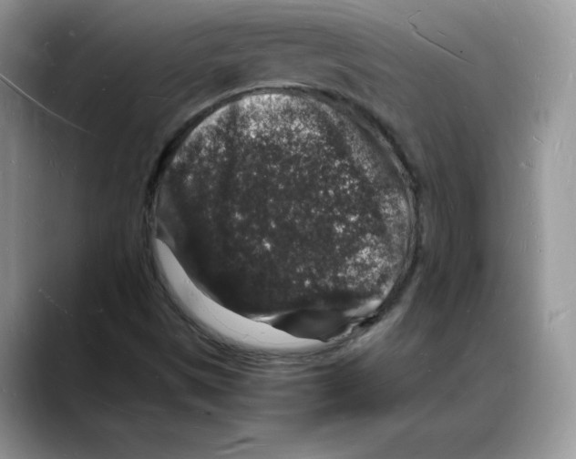 X0000088031497200706081451