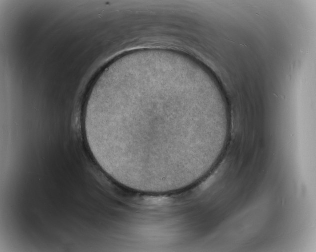 X0000088031498200706081451