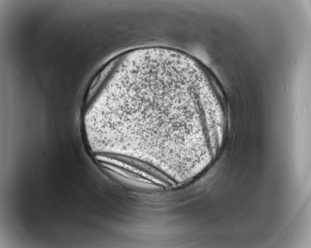 X0000088031500200706081451