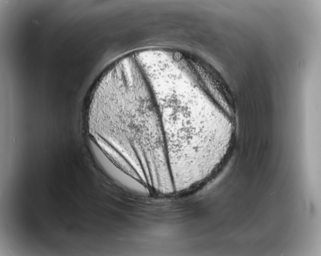 X0000088031501200706081451