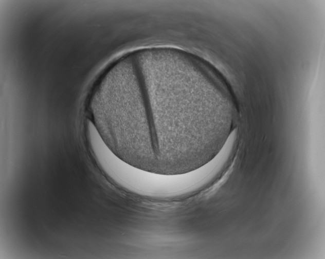 X0000088031502200706081451