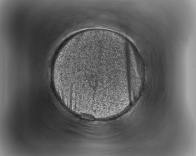 X0000088031503200706081451