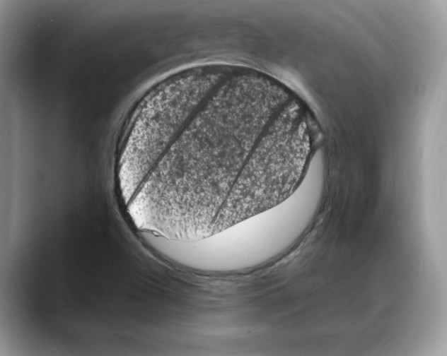 X0000088031504200706081451