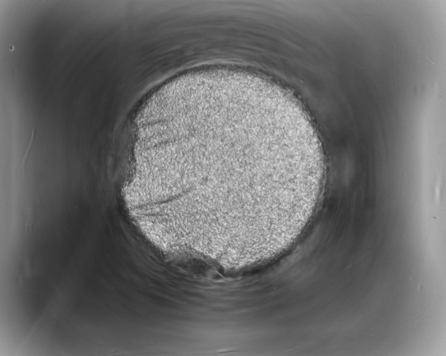 X0000088031505200706081451