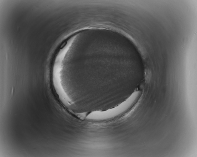 X0000088031506200706081451