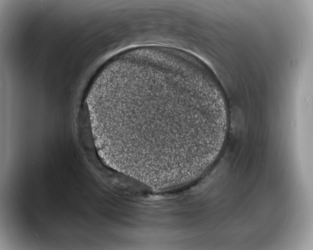 X0000088031507200706081451