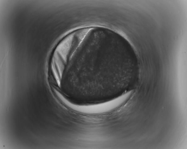 X0000088031508200706081451