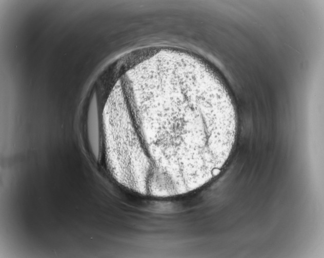 X0000088031509200706081451