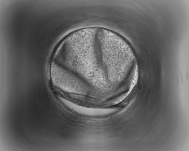 X0000088031510200706081451