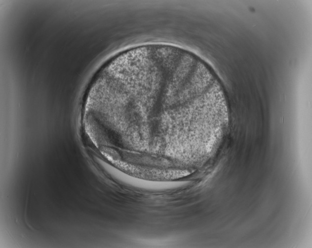 X0000088031511200706081451