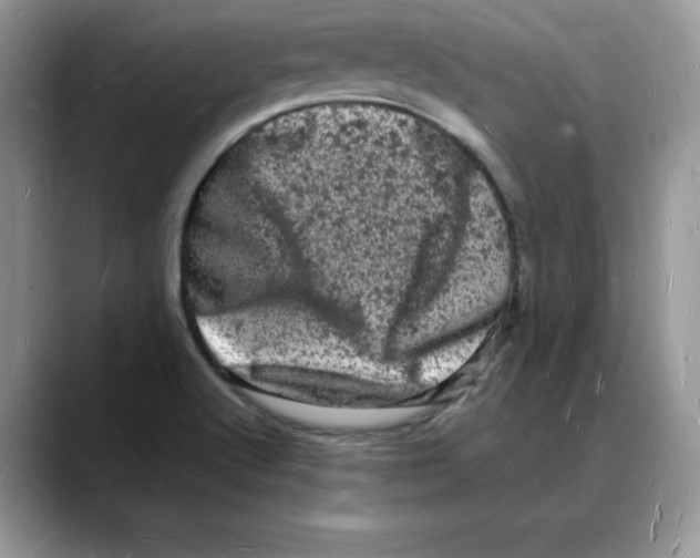 X0000088031512200706081451