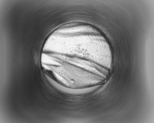 X0000088031513200706081451