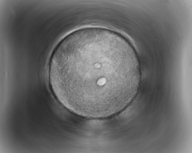 X0000088031514200706081451