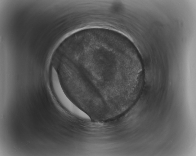 X0000088031515200706081451