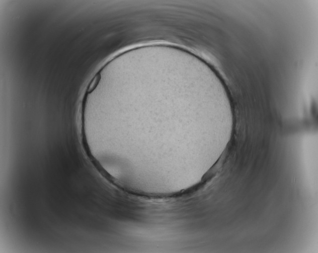 X0000088031516200706081451