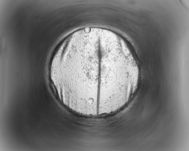 X0000088031517200706081451