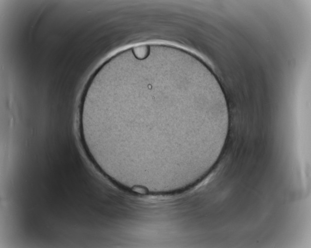 X0000088031518200706081451