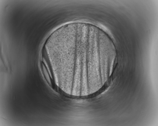 X0000088031520200706081451