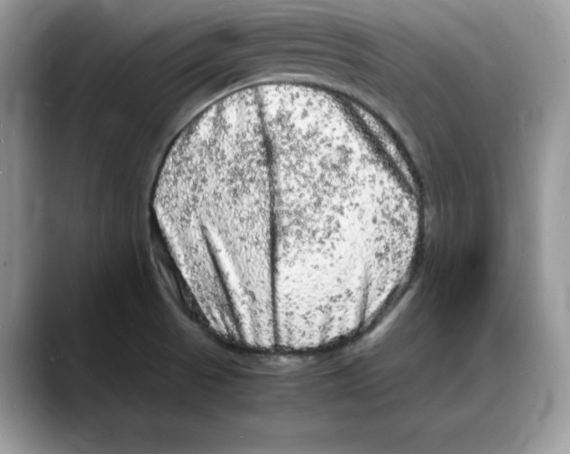 X0000088031521200706081451