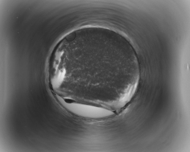 X0000088031522200706081451