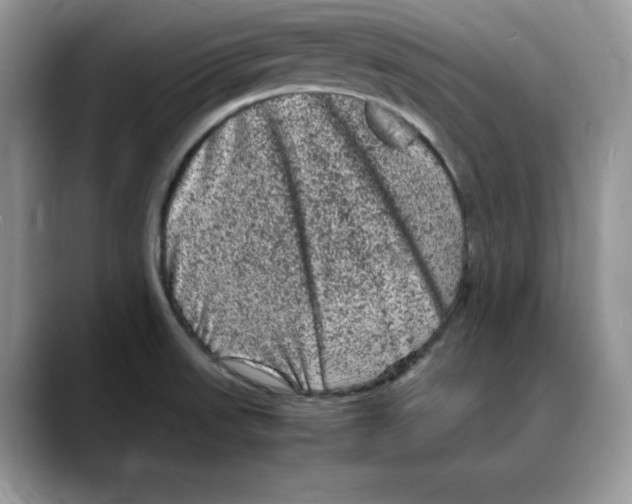 X0000088031523200706081451