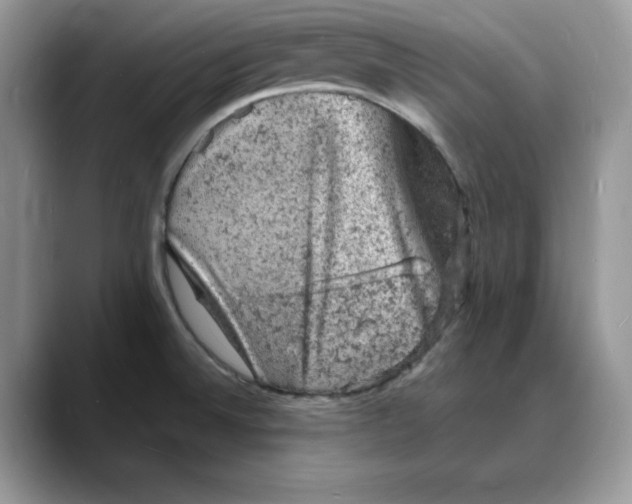 X0000088031524200706081451