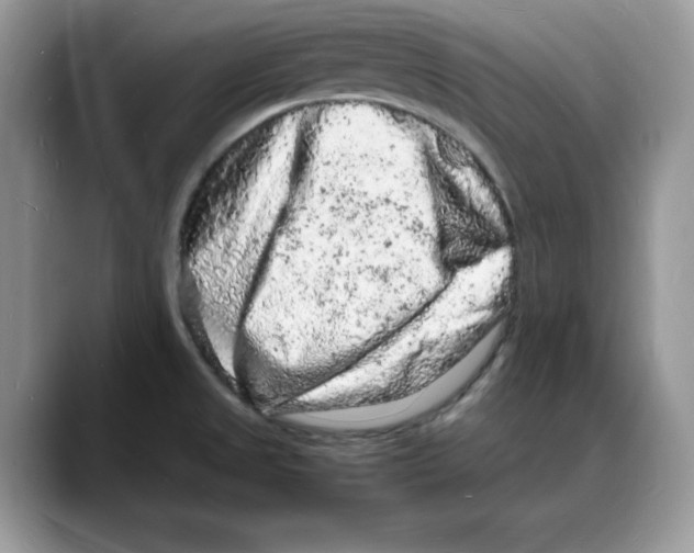 X0000088031525200706081451