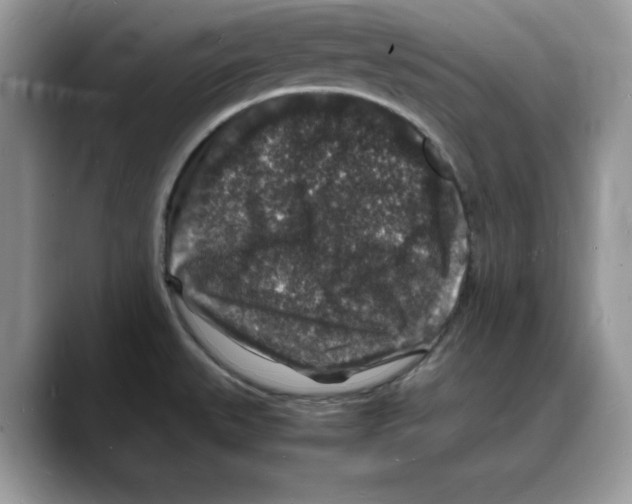 X0000088031527200706081451