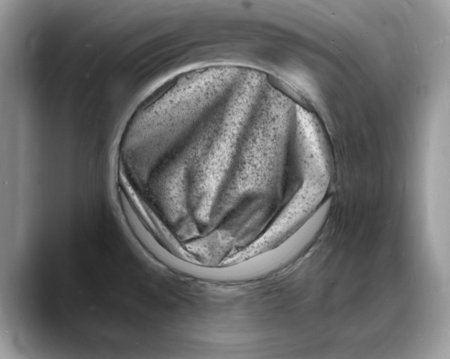 X0000088031528200706081451