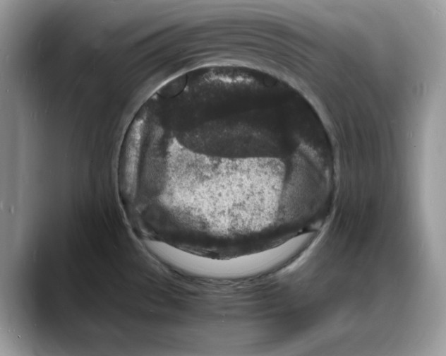 X0000088031529200706081451