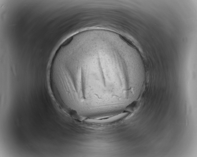 X0000088031530200706081451