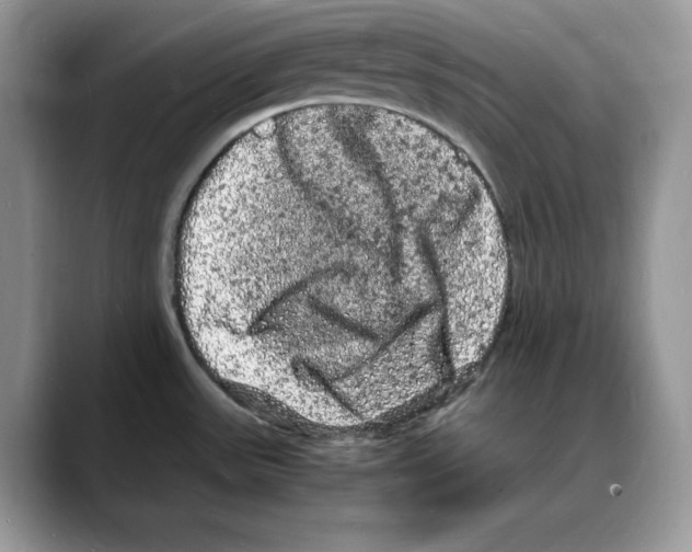 X0000088031531200706081451