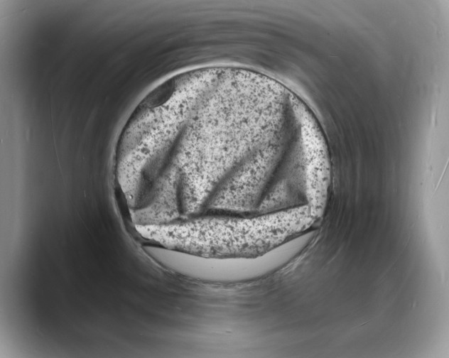 X0000088031532200706081451