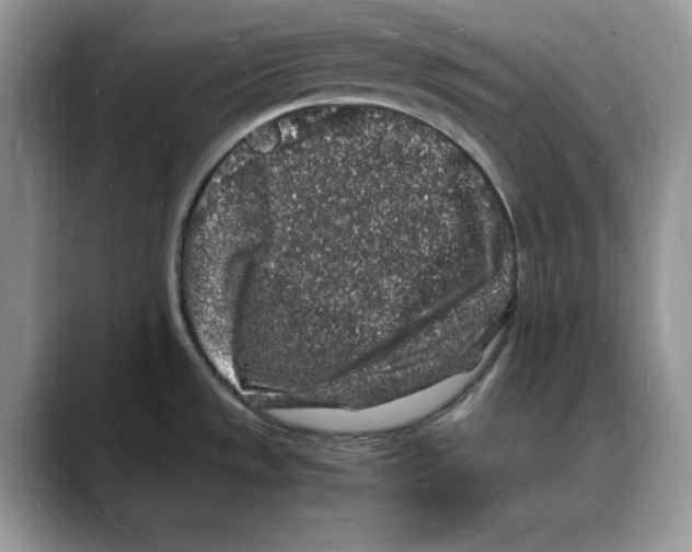 X0000088031533200706081451