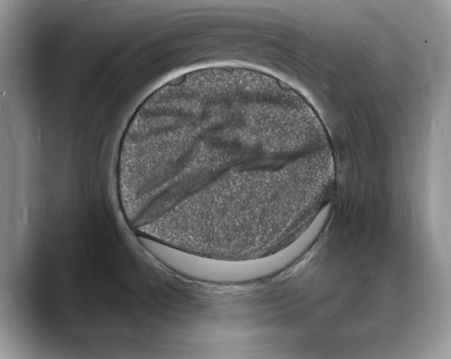 X0000088031534200706081451