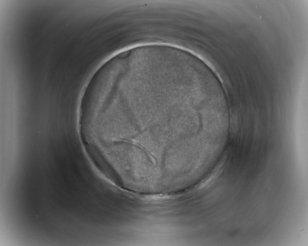 X0000088031535200706081451