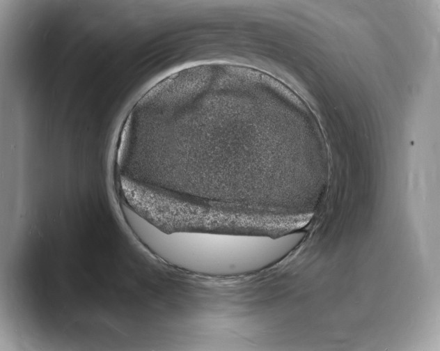 X0000088031536200706081451