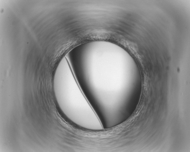 X0000088040017200705110836