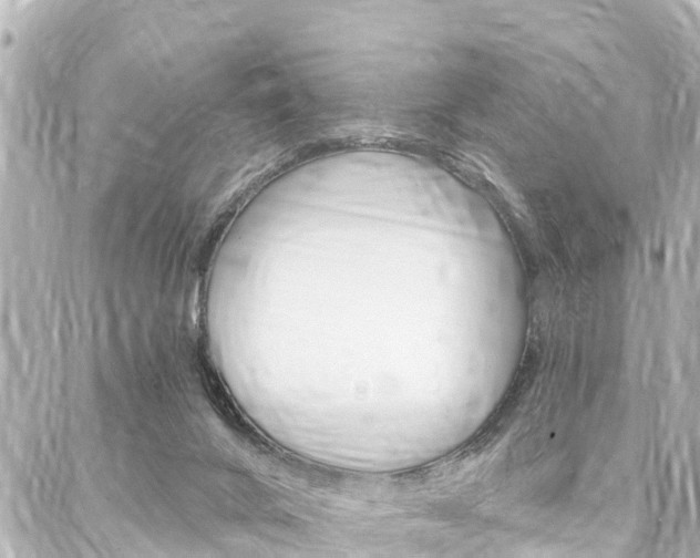 X0000088040024200705110836