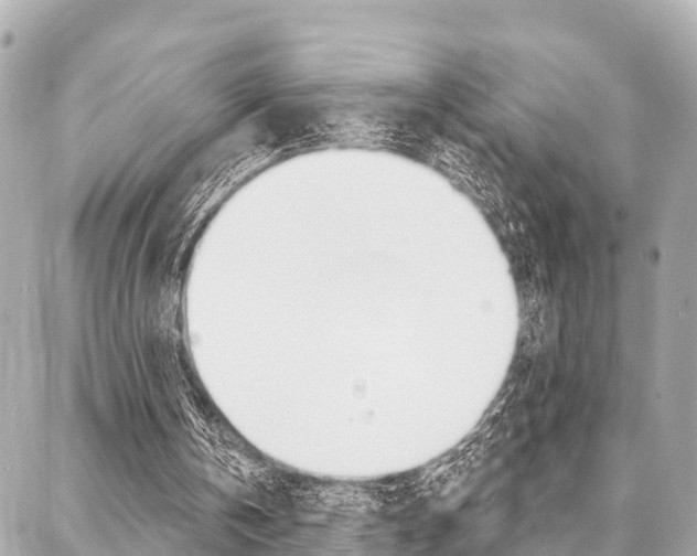 X0000088040146200705110833