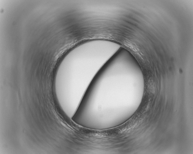 X0000088040303200705110831