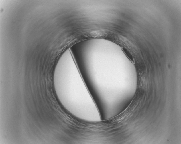 X0000088040317200705110831