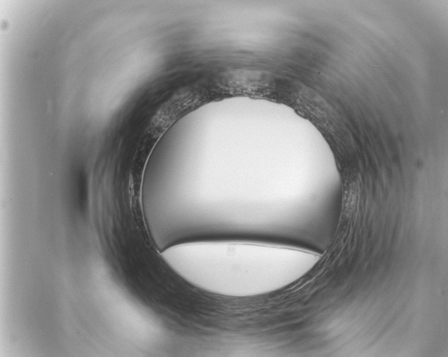 X0000088040335200705110830