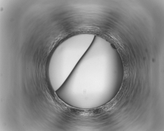 X0000088040504200705110828